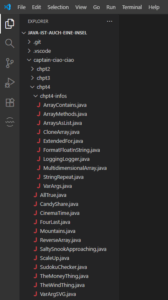 Screenshot VSC-Setup